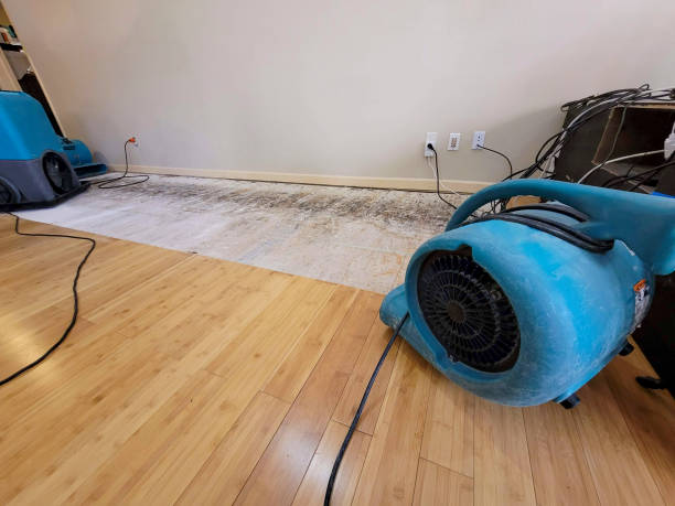 Professional Burst Pipe Water Damage technician working in Lindsey, OH